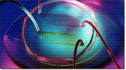 biomedical